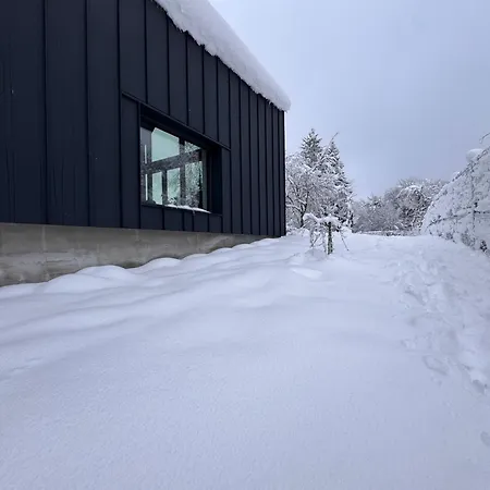 Vilă Casa Verta Zrnovac
