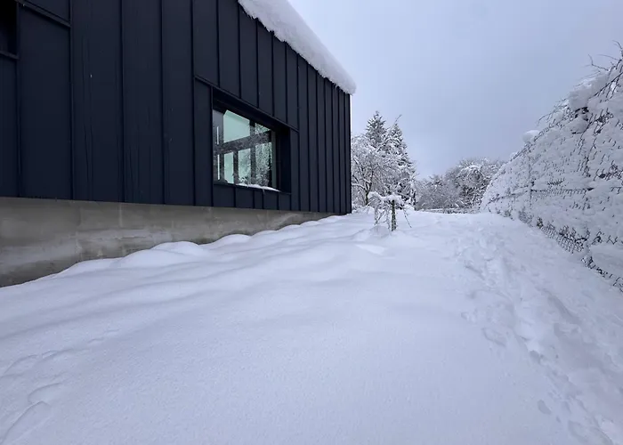 Vilă Casa Verta Zrnovac